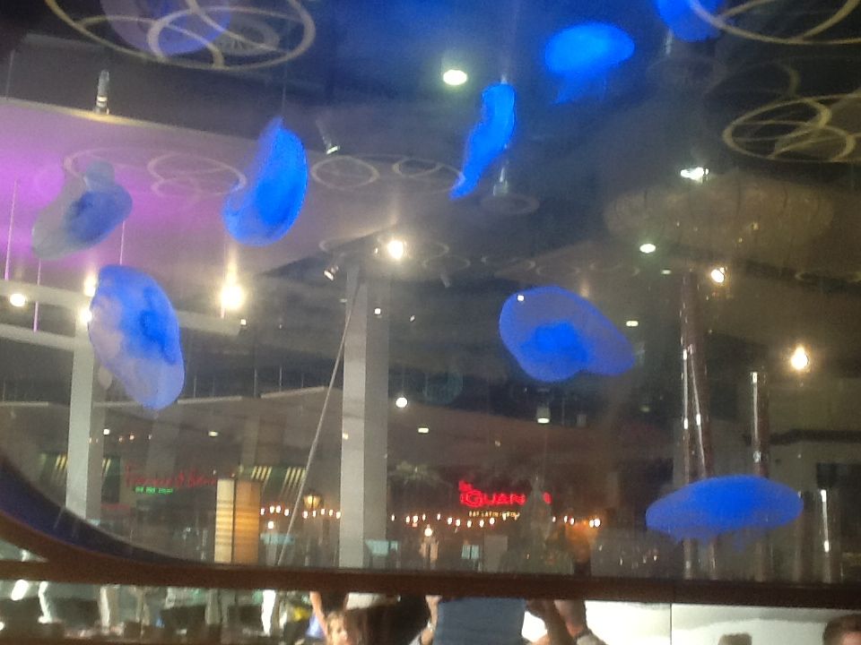tankjellyfish.jpg