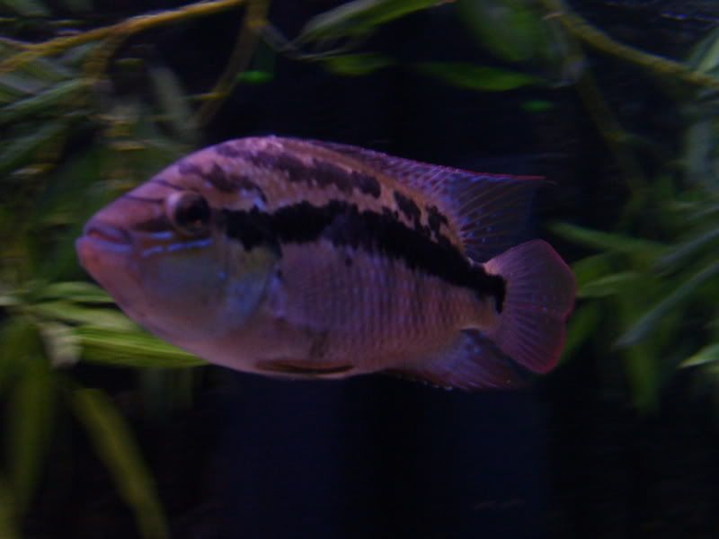 S5006469.jpg
