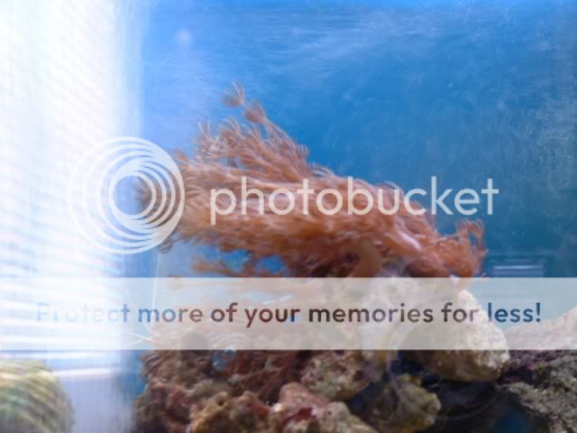 DSCF0133.jpg