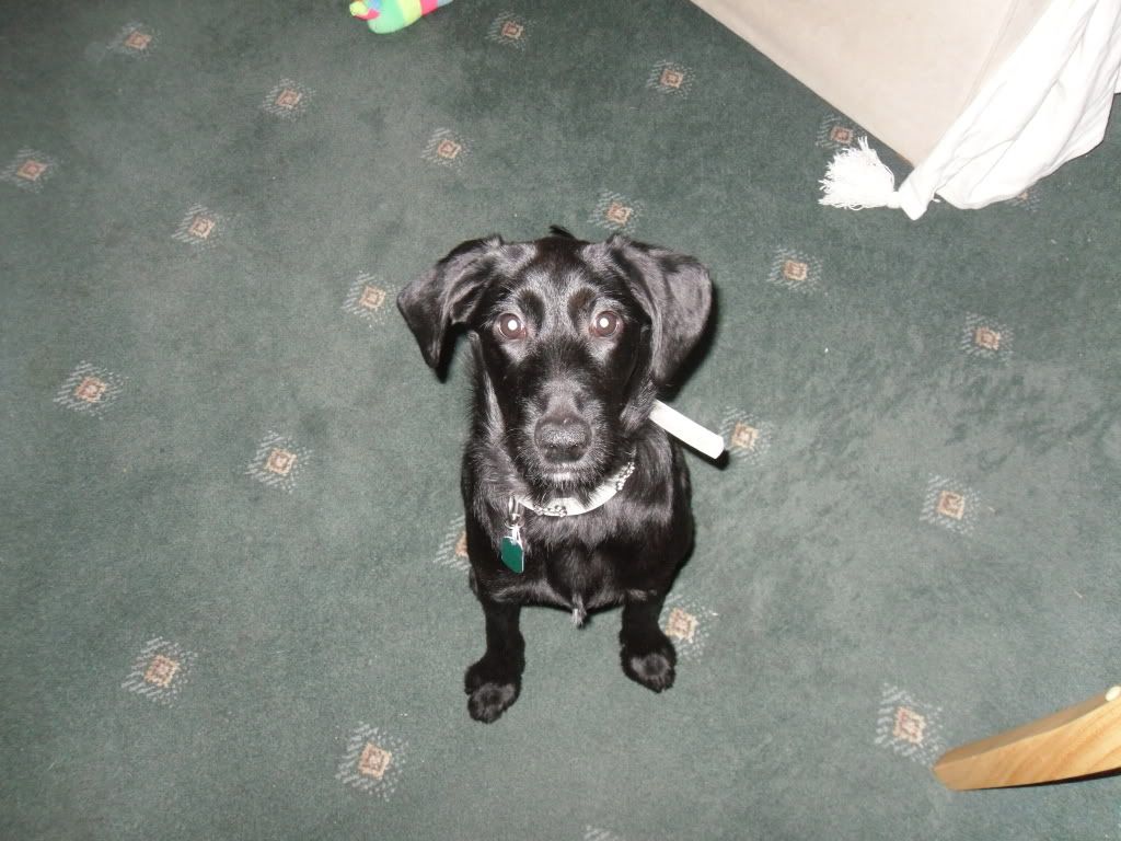 SAM_2070.jpg