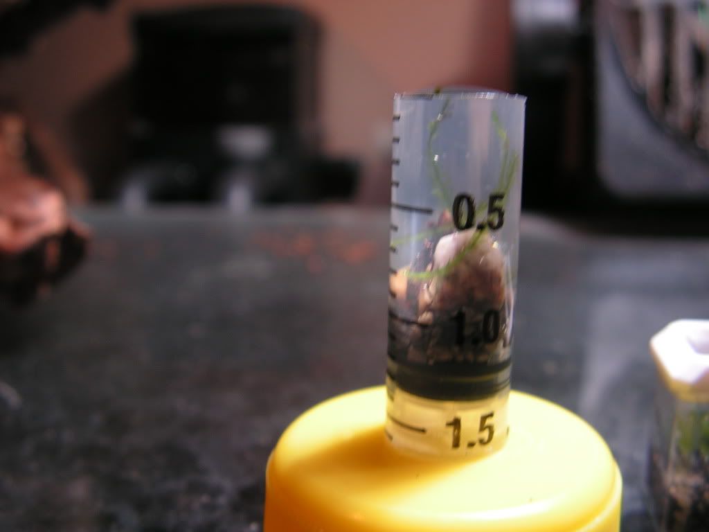 PICT1118.jpg