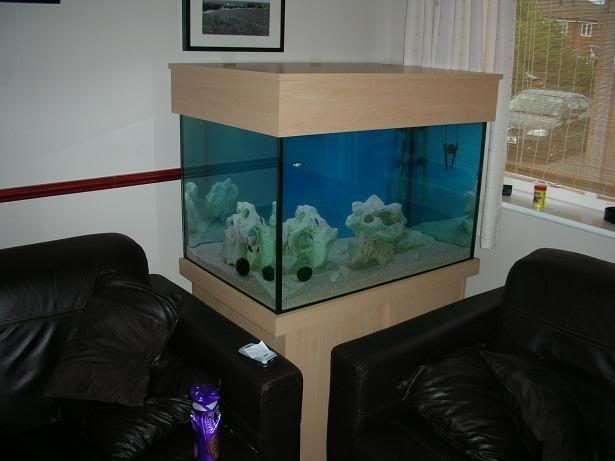 DSCN1303.jpg