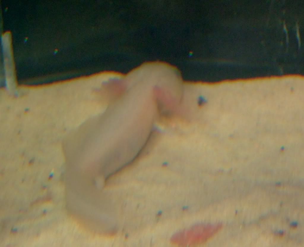 DSCF8807.jpg