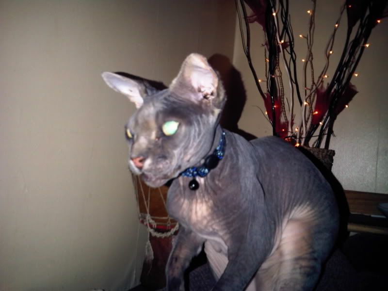 IMG00046-20100703-2058.jpg