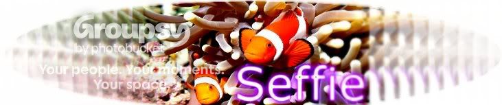 seffie.jpg