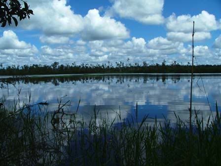 tasek2-merimbun.jpg