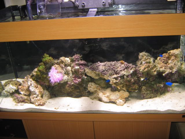 011-11.jpg