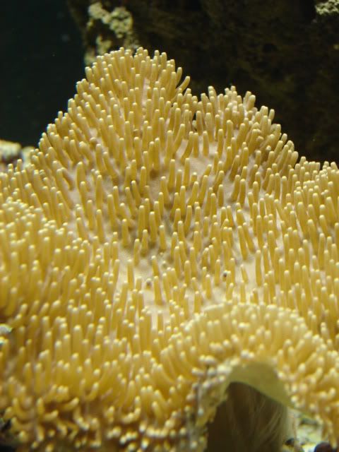 DSC02597.jpg