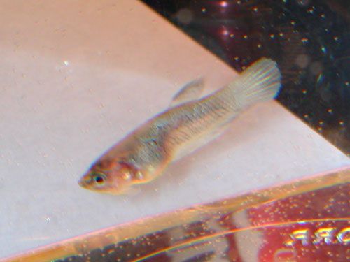 DSCN3018.jpg
