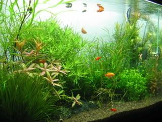 Picture003-5.jpg