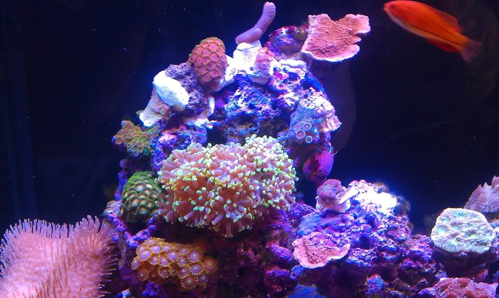 IMAG0305.jpg