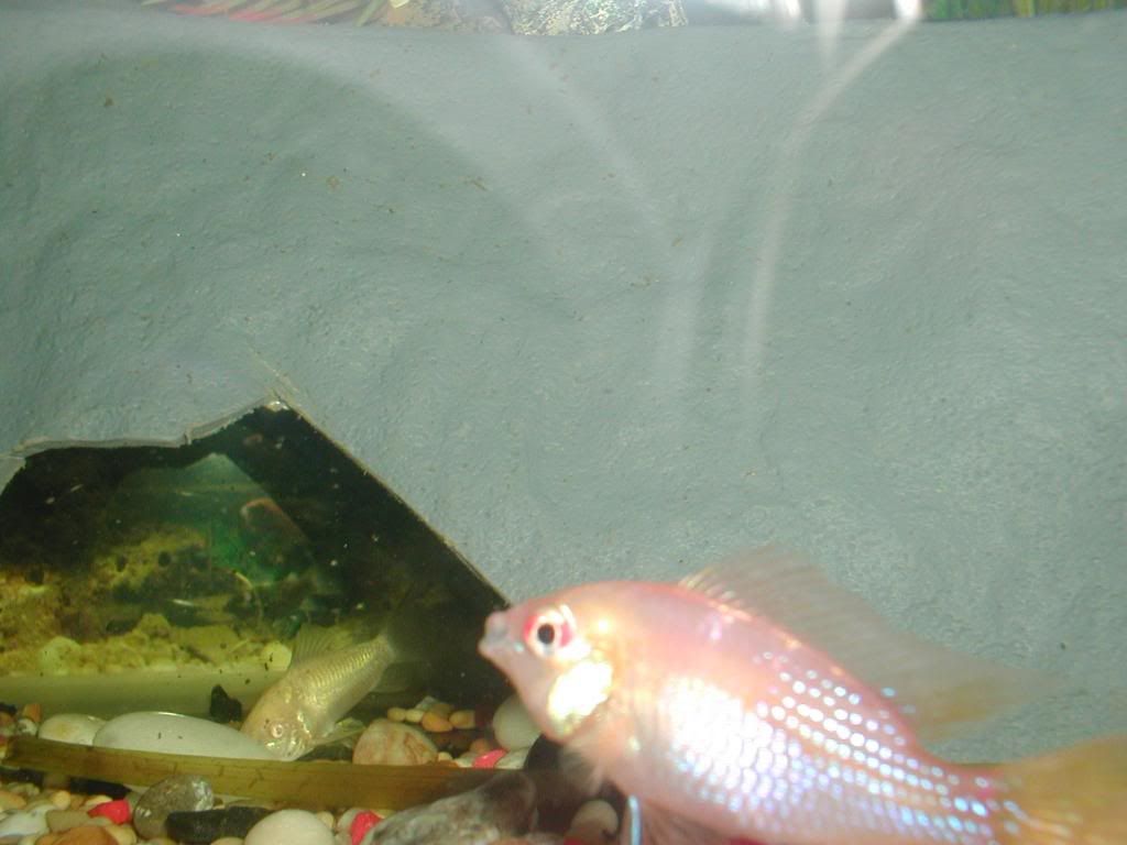P1010002.jpg