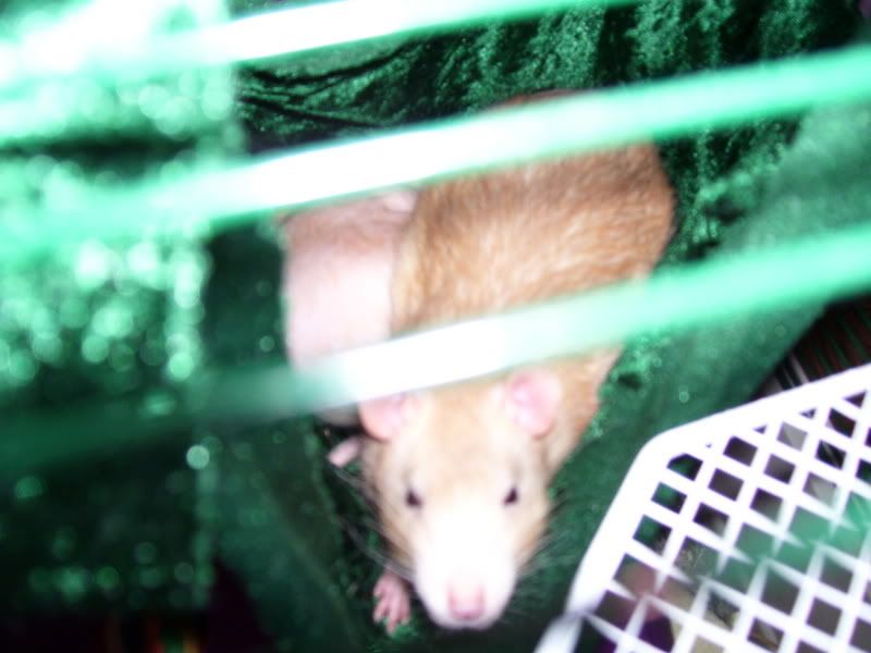000_0101.jpg