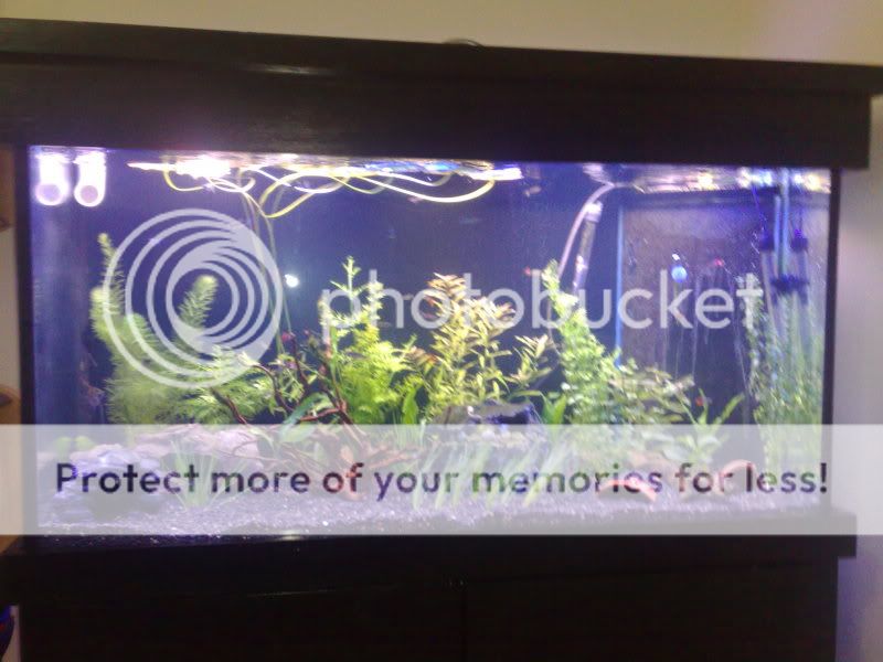 05092009966.jpg