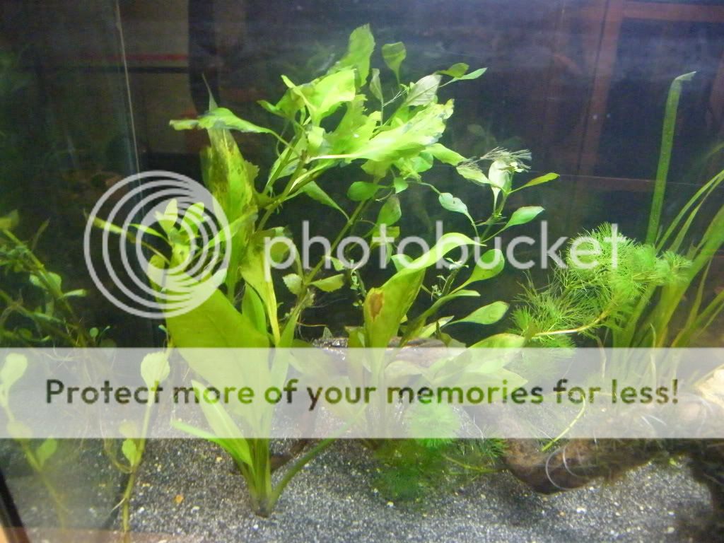 DSCF4485.jpg