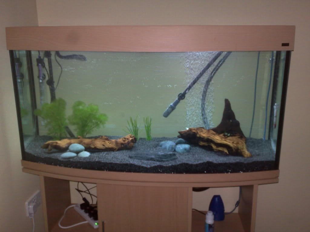 Tank7.jpg