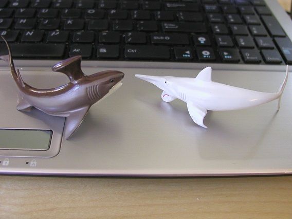 paleo_sharks1_zps5a9c0e9c.jpg