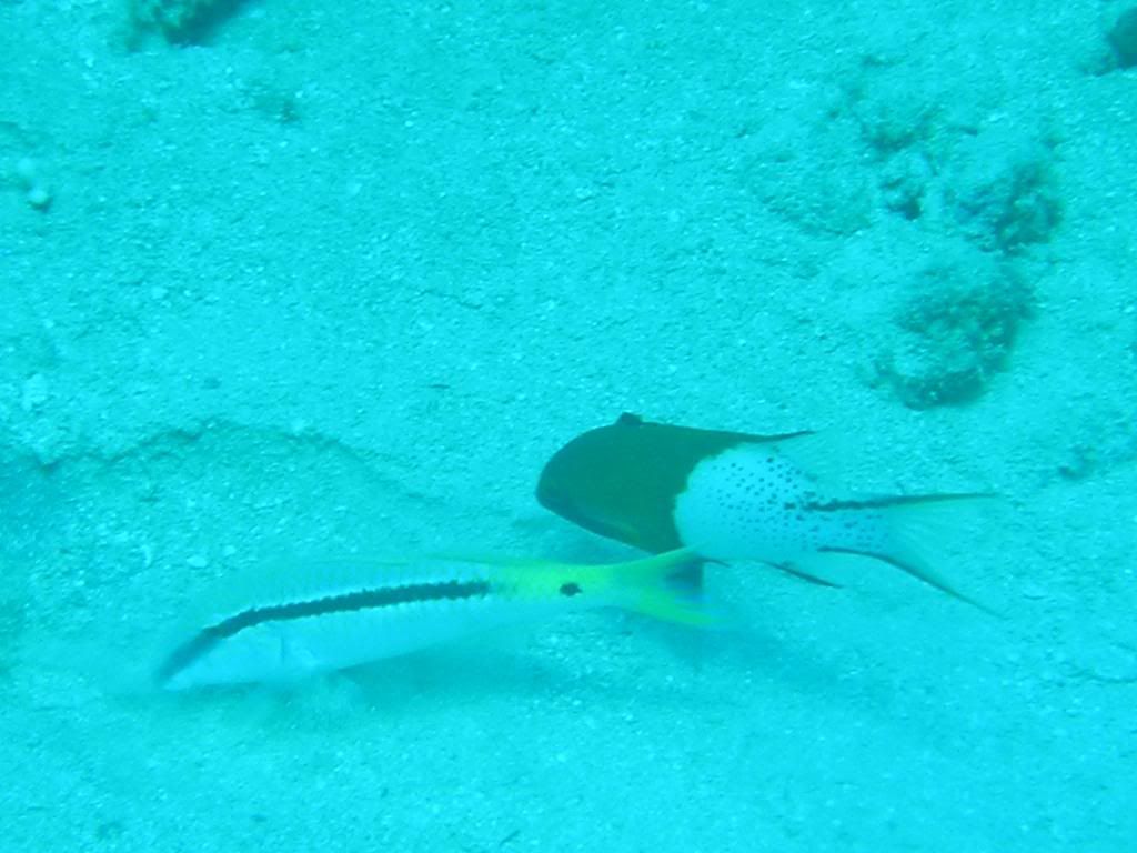 P1010132x.jpg