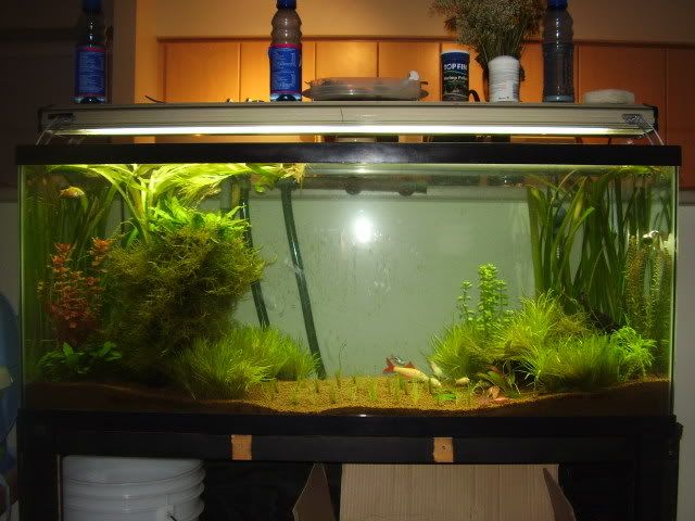 pictures002.jpg