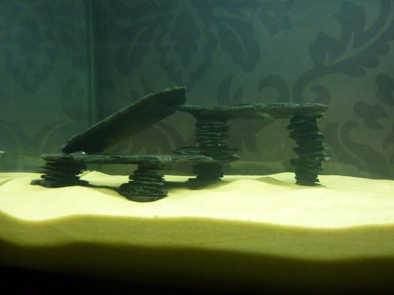 P1030287.jpg