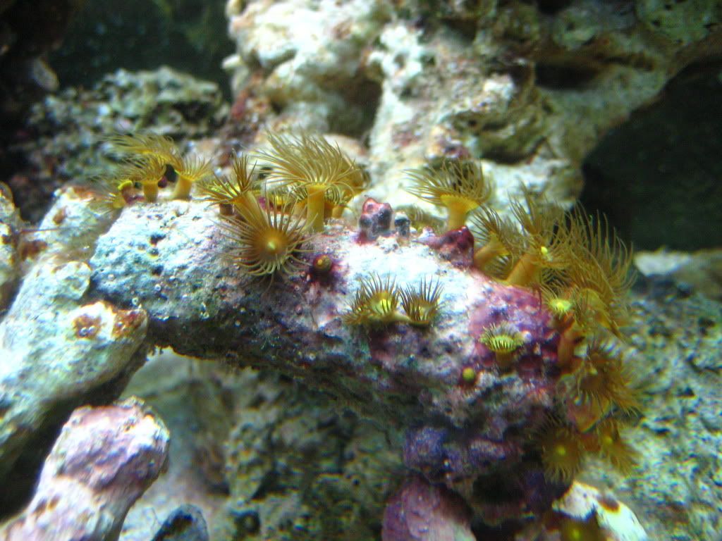 IMG_2841.jpg