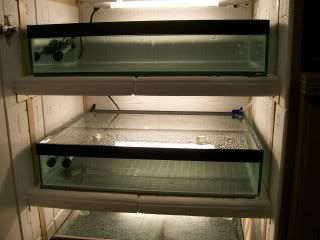 Picture602.jpg