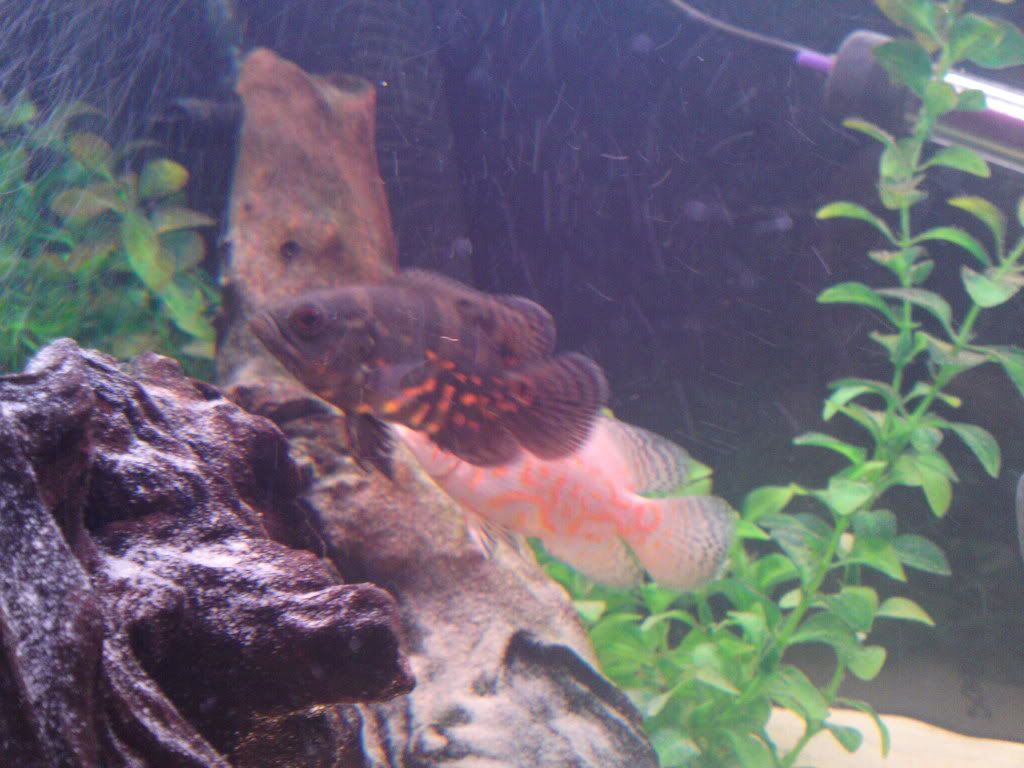 03022011072.jpg