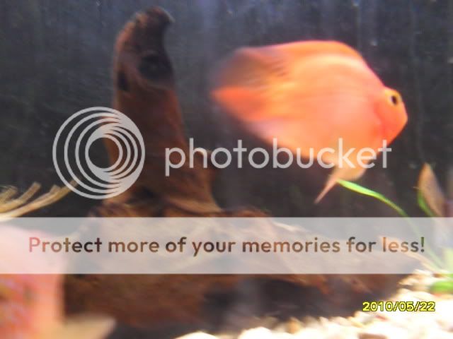 SDC14660.jpg