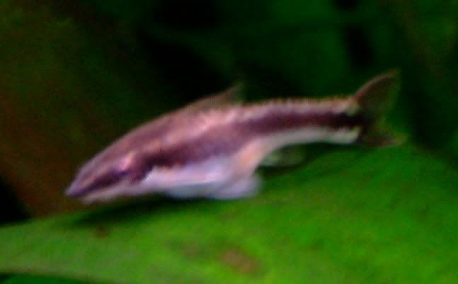 2005_0508_200241.jpg