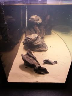 20121003_184924.jpg
