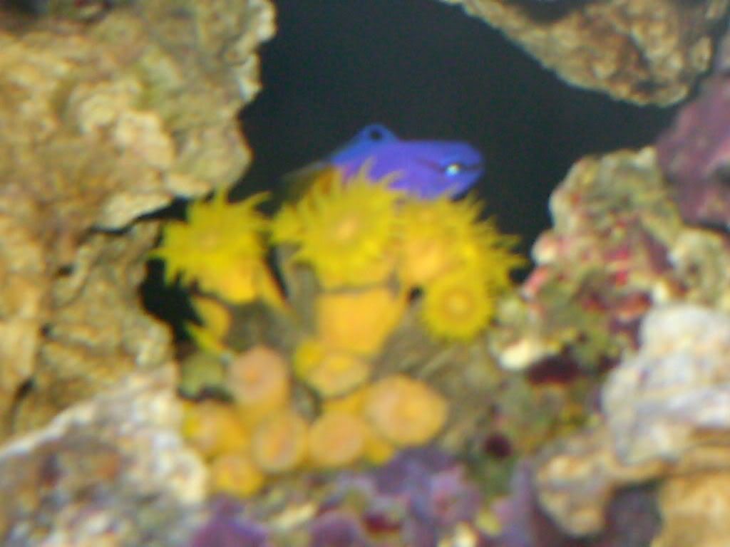 HPIM0429.jpg