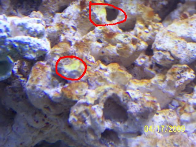 100_5379.jpg