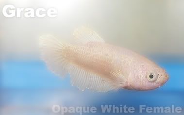 53891ee9.jpg