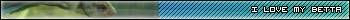 steveuserbar1.jpg