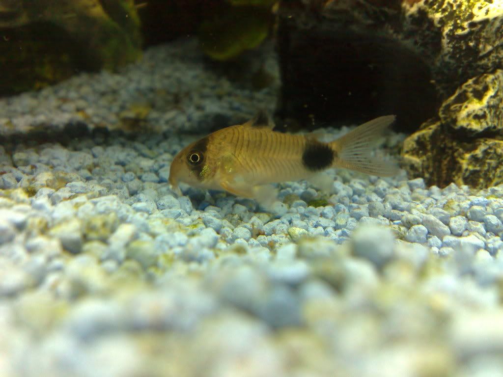 28042008004.jpg