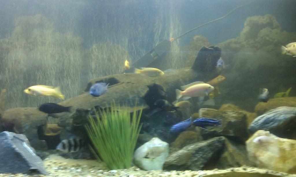IMAG0172.jpg
