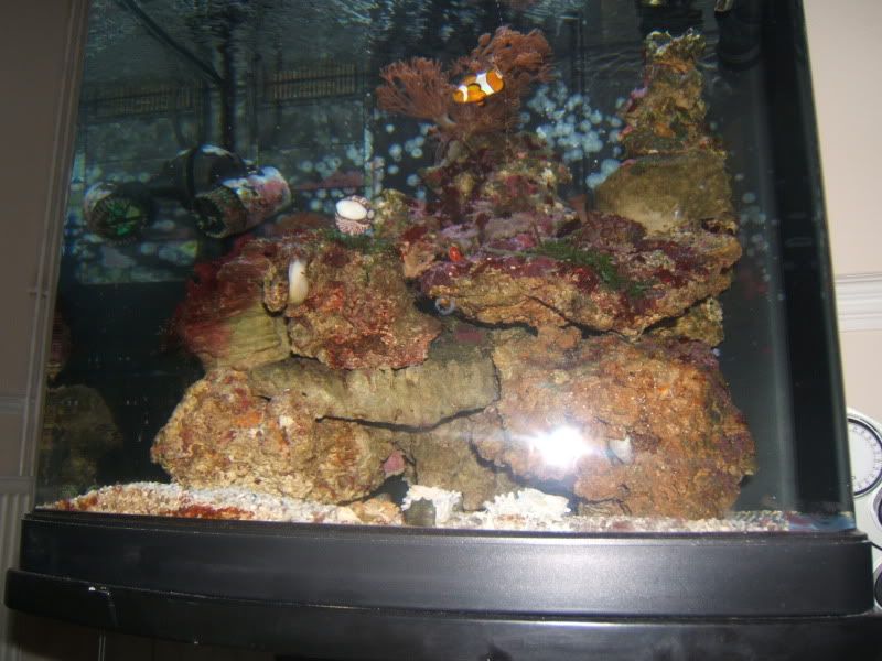 DSCF1480.jpg