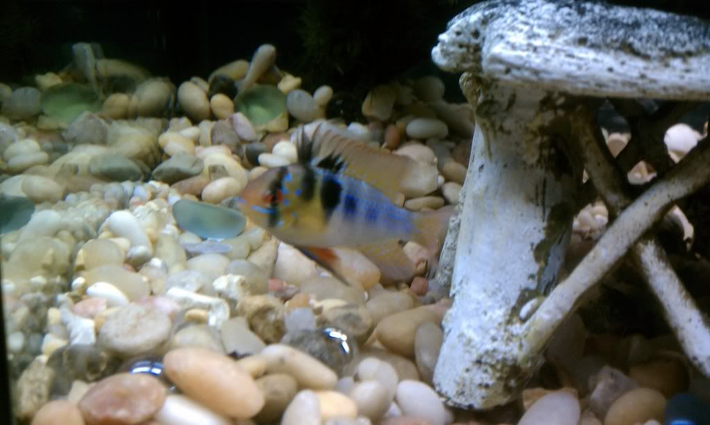 IMAG0405.jpg