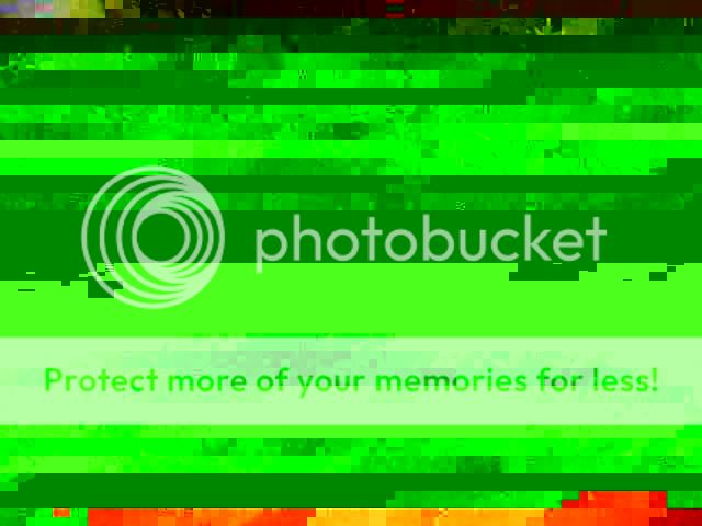 plants3.jpg