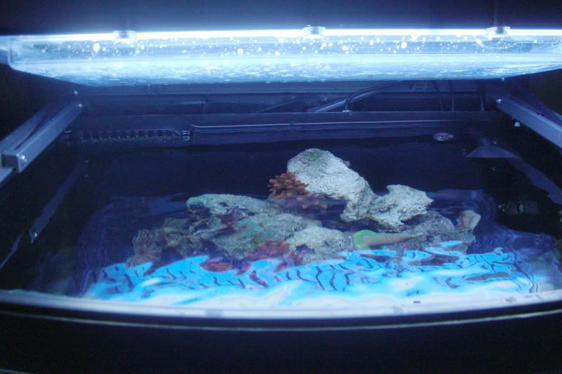 tank_insideLid.jpg
