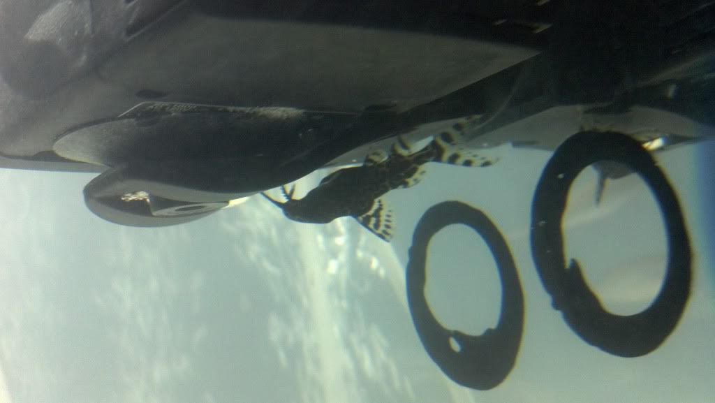 2012-03-29_19-46-19_773.jpg