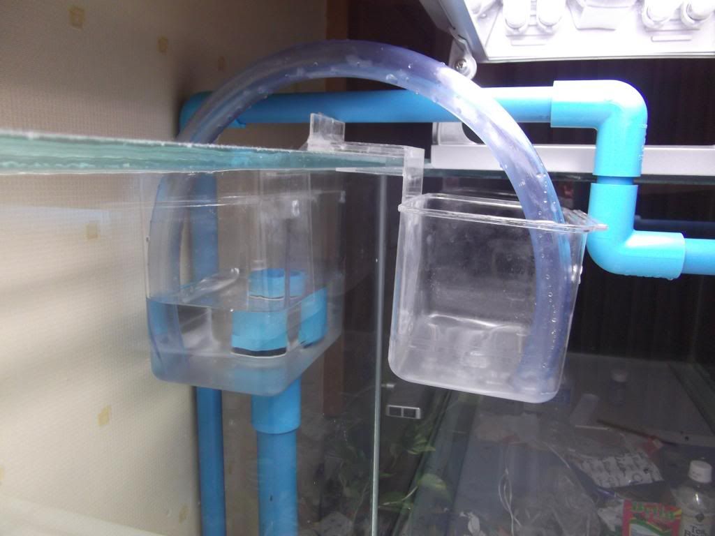 DSCF1516.jpg