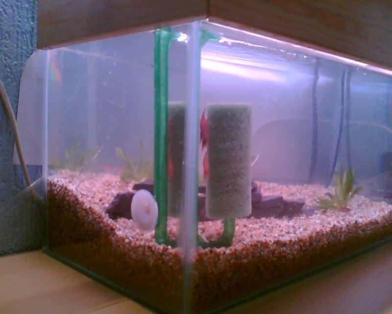 nano1.jpg