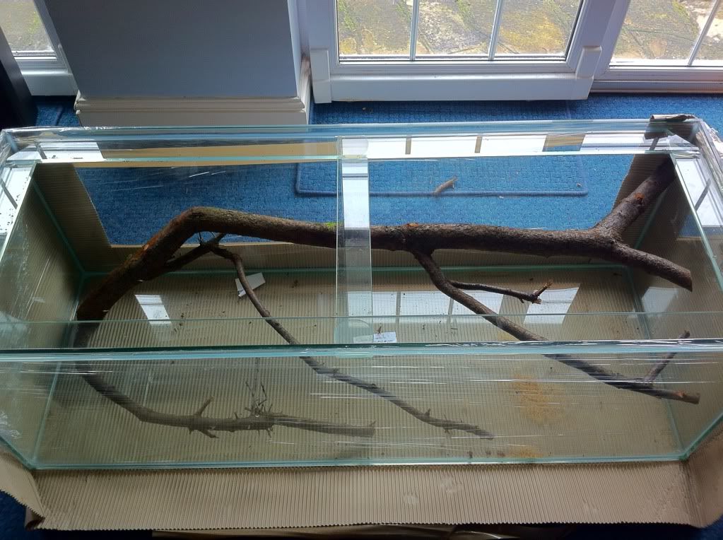 photo1.jpg