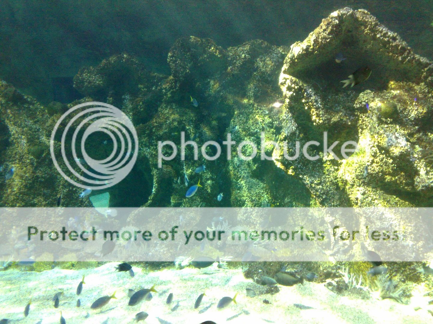 23082008065.jpg