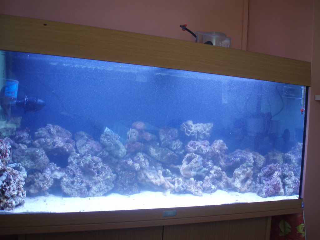 Picture337.jpg
