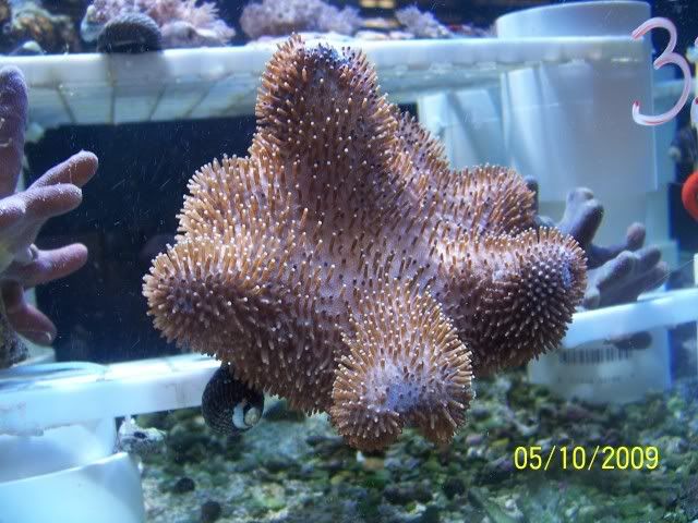 100_6143.jpg