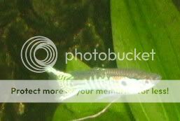 DSCF4454.jpg
