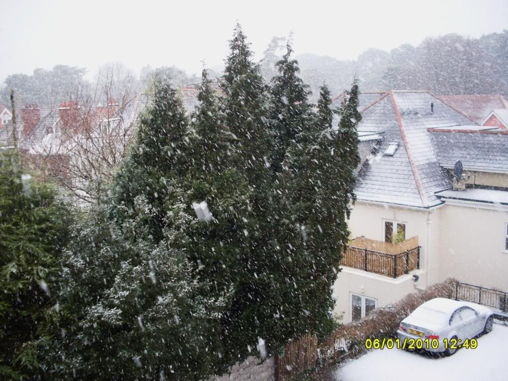 snow2010059.jpg