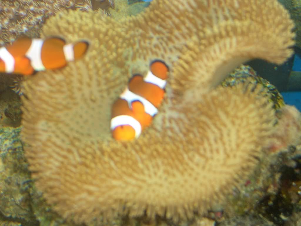 CIMG0827.jpg